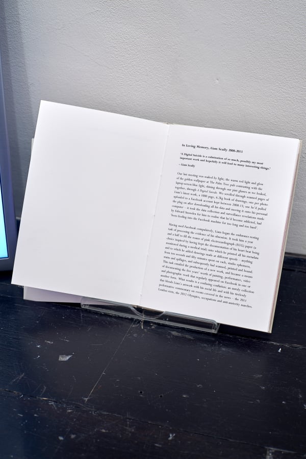 Liam Scully A Digital Suicide 13 Web