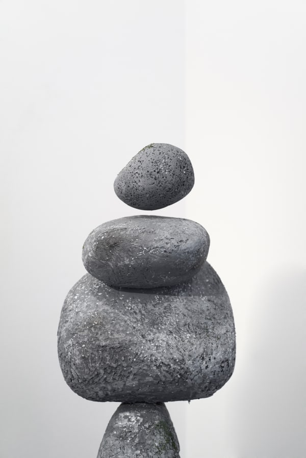 James Hopkins The Mirror S Mirror 9 Web