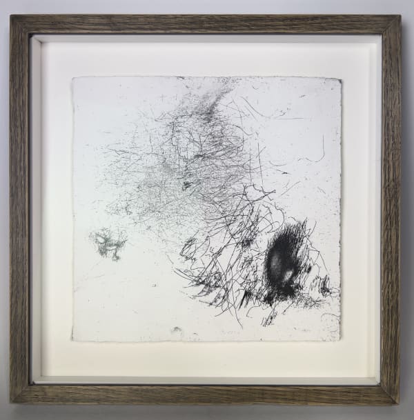 Geraldine van Heemstra, Whimbrel Wind Etching #3