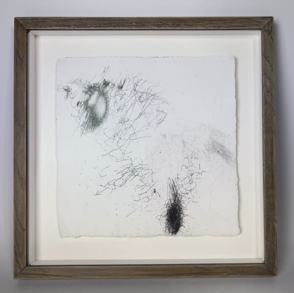 Geraldine van Heemstra, Whimbrel Wind Etching #2