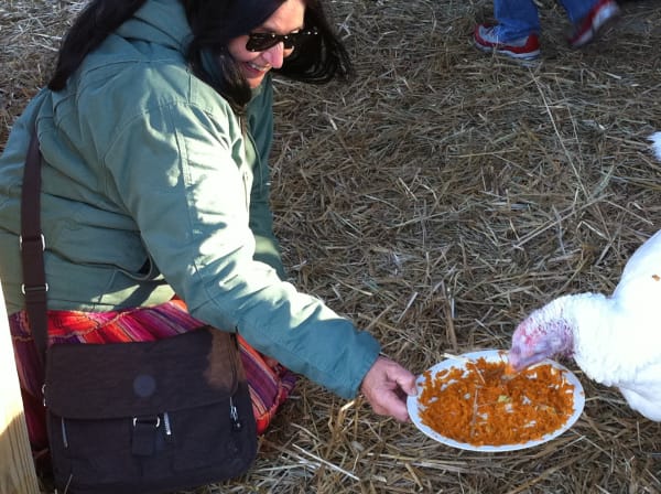Photograph of the artist feeding a turkey while visiting Farm Sanctuary, November 23, 2010