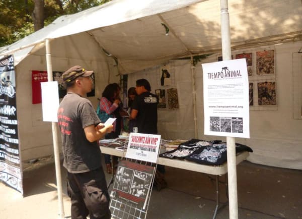 Photograph of the Installation of reproductions of Sue Coe's artwork at the Tiempo Animal Exhibition, Mexico City, 2018 