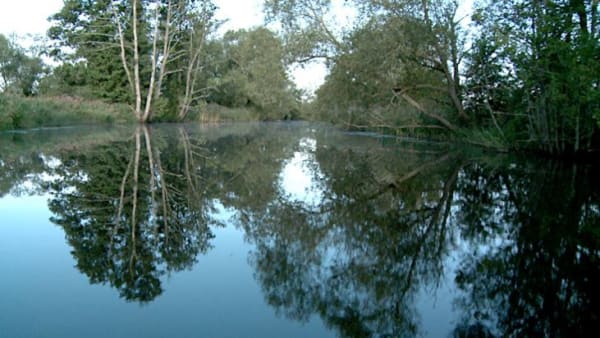 Listening session - Saskia Holmkvist