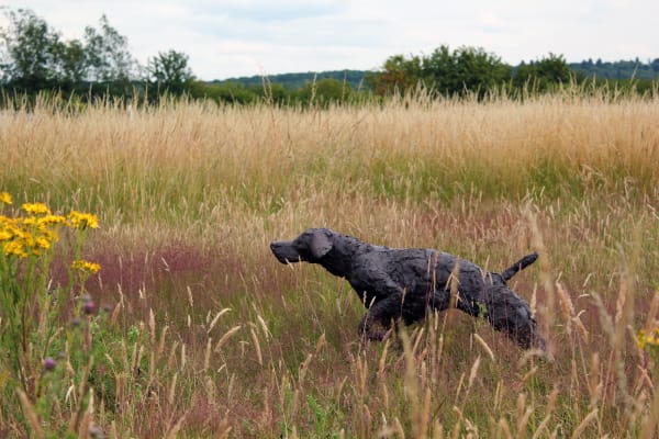 Dog hound pointer garden bronze sculpture