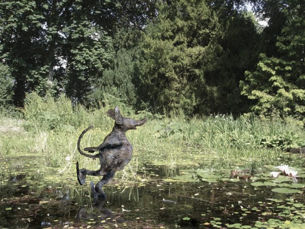 Pond skater bronze garden sculpture