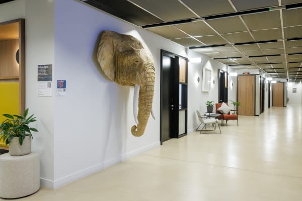 Images courtesy of Sam Frost, Landsec and Myo Victoria