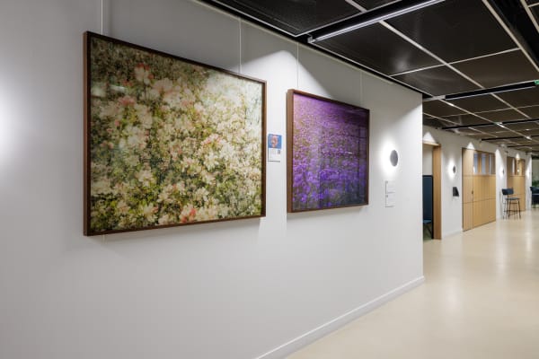 Images courtesy of Sam Frost, Landsec and Myo Victoria