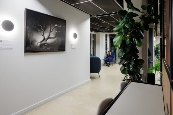 Images courtesy of Sam Frost, Landsec and Myo Victoria