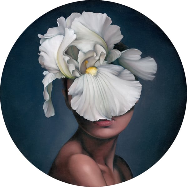 Amy Judd, Patient Petals, 2025