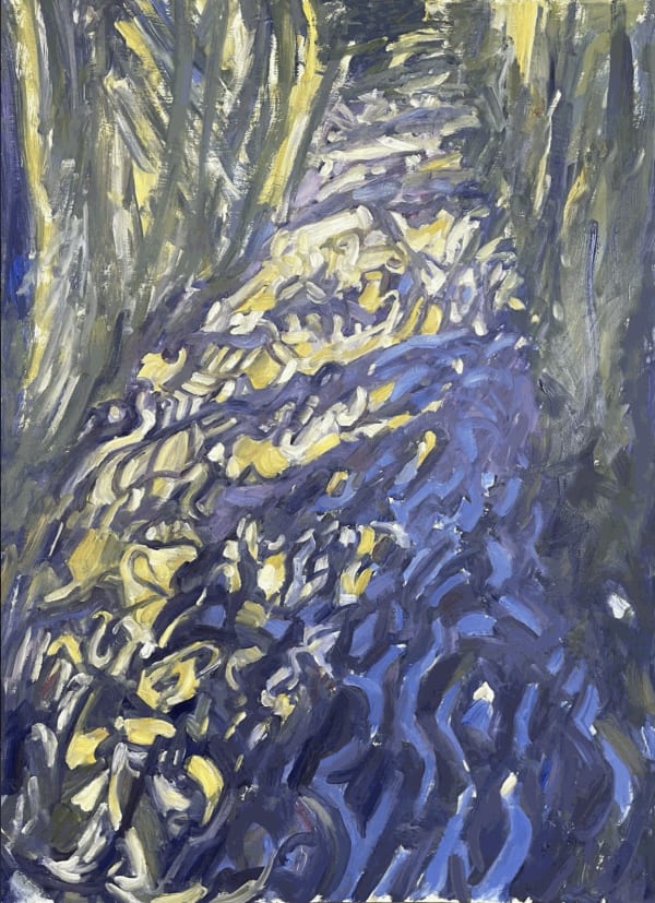 Nick Schlee, Looking upstream with shadows