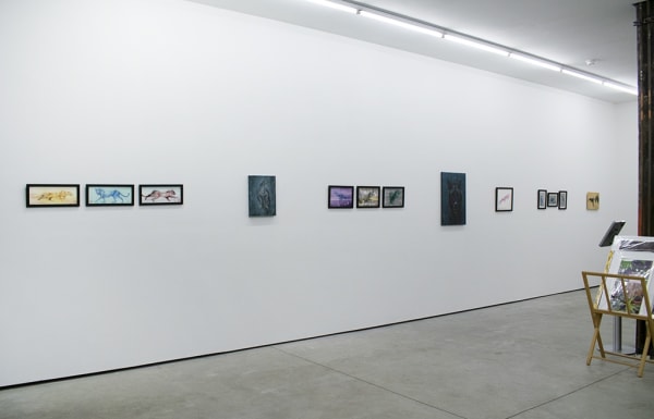 install shot of Daleast exhibition