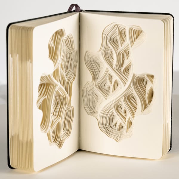 sculptural cut-outs made in the pages of a moleskin notebook