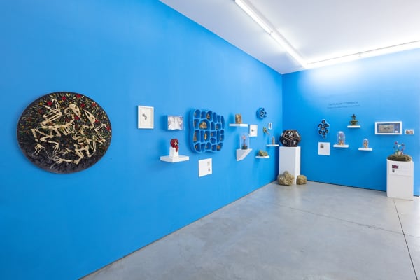 installation shot of Caitlin McCormack exhibition