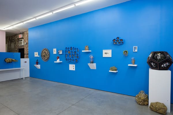 installation shot of Caitlin McCormack exhibition