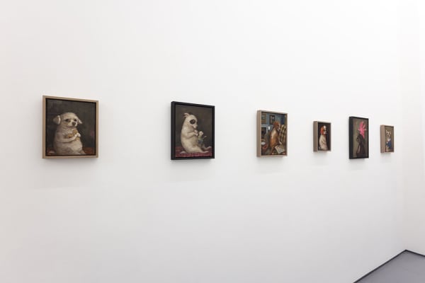 Installation shot of the exhibition Love Bite by Alison Friend