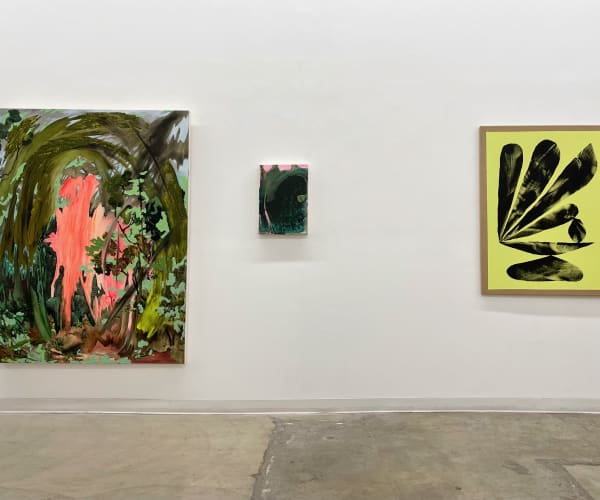 Install Shot The Light Behind The Trees December 04 2021 January 15 2022 2