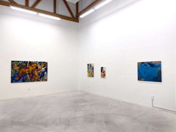 Toimoinous Carinoreynarubaninstall