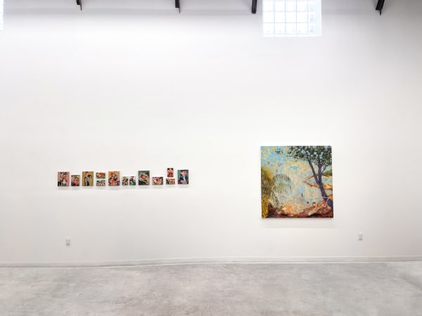 Toimoinous Tschieggvuinstall