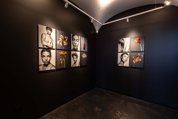 2023 06 22 In The Pink Rankin Espa O Dd 49