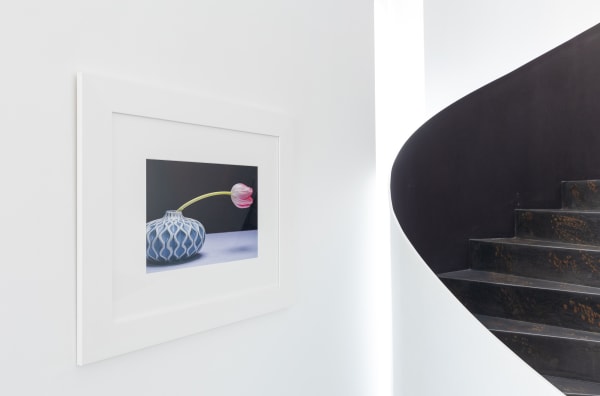 Fine Art Photography Gallery In The Pink In Loule2025 01 16 Web In The Pink Splash Of Pink Exhibition Loule Dd 19