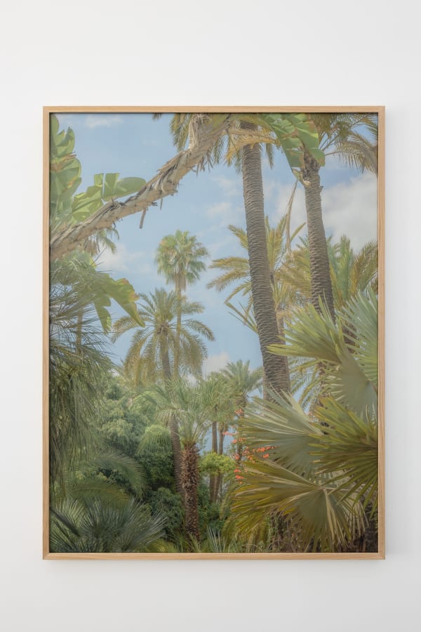 2025 04 07 In The Pink Colourama Installation Shots Website Dd 26