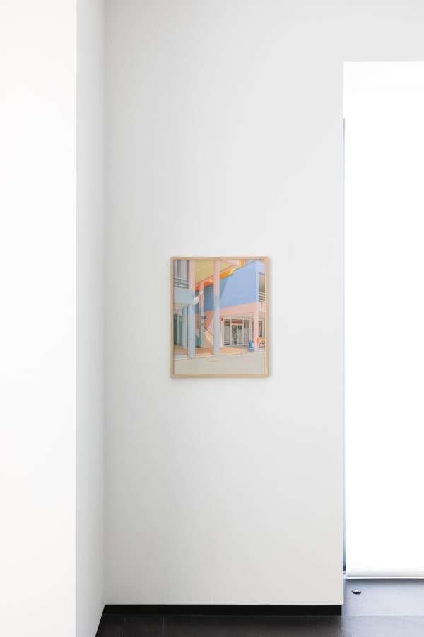 2025 04 07 In The Pink Colourama Installation Shots Website Dd 30