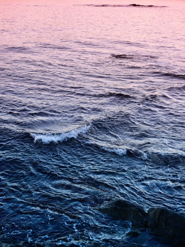 “Terra e Mar” by João Mariano, Maria Oliveira, Nuno Cera e Vasco Célio