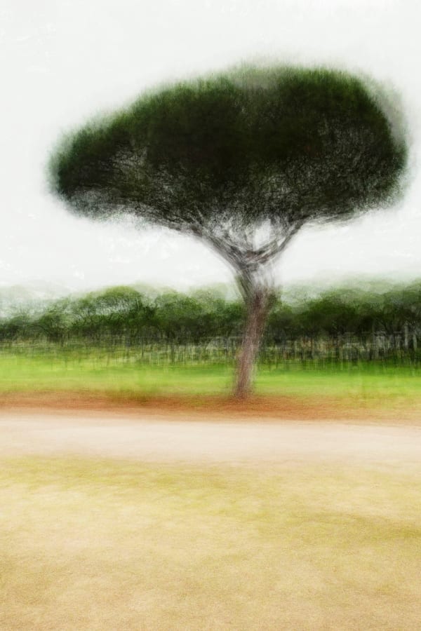 Impressionist views featuring a unique fusion of technique and artistic vision
