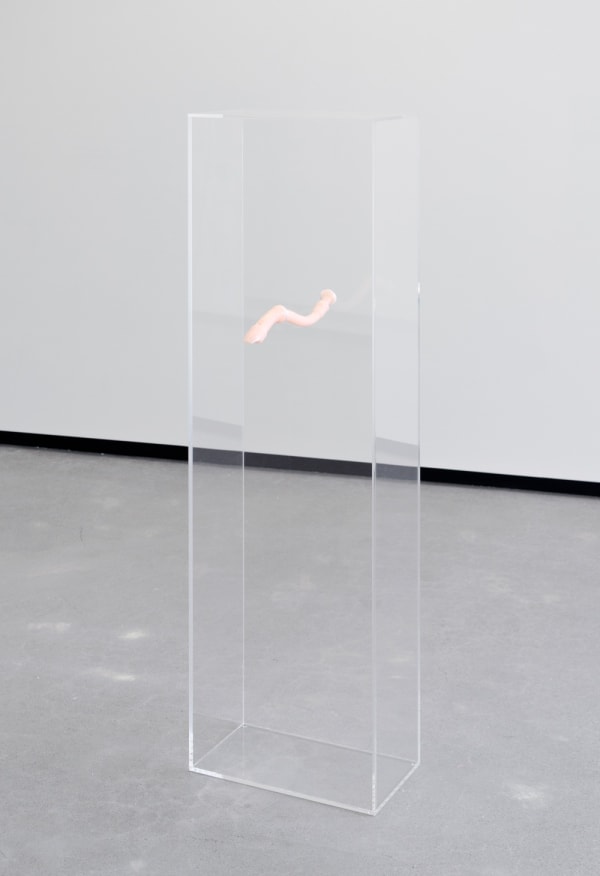 Jhanamillersartgallerywellington Caitlindevoy Play Pale