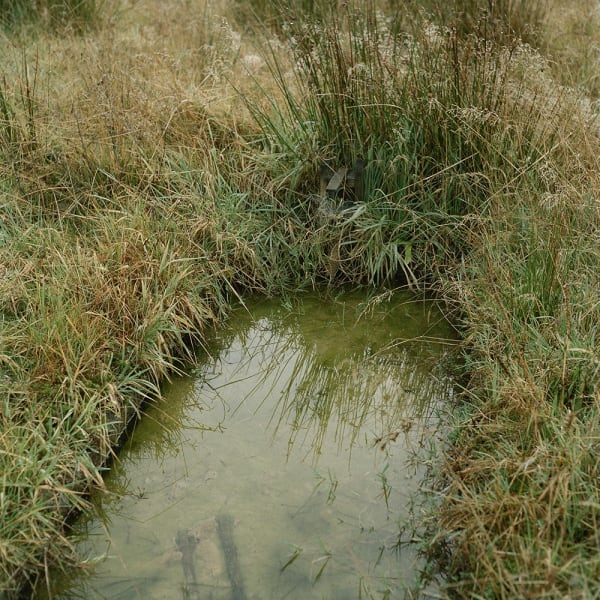 Waiuta Model Village #7. Swimming pool, 2013.