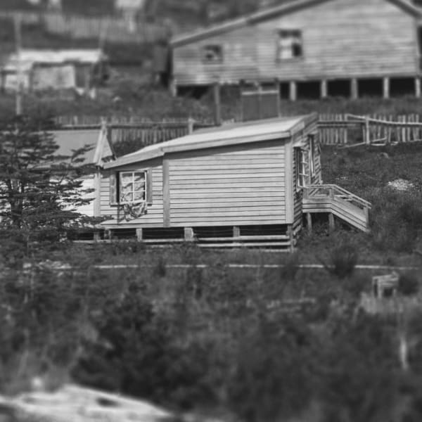 Detail from Joseph Divis’ photo of Cottages at the west end of Waiuta (Curtain). Alexander Turnbull Library, New Zealand: 1/2_233028_G. 2020.
