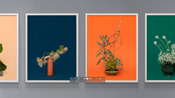 Ann Shelton Jane Says A lovers herbal Jhana Millers