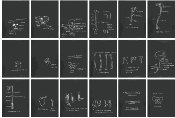 Jean-Michel Basquiat, Anatomy, 1982