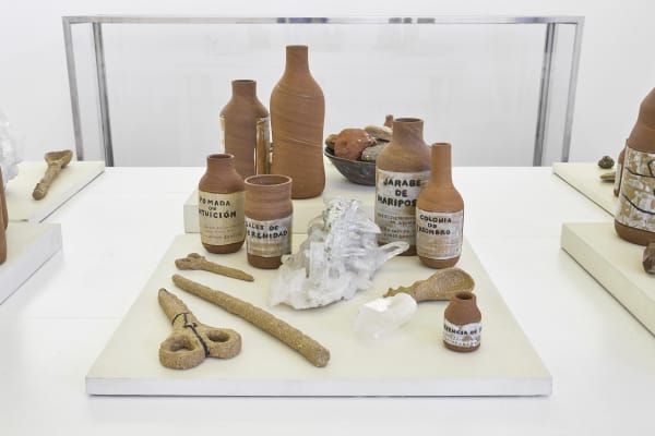 Aileen Gavonel, Elementos Extraños, 2019