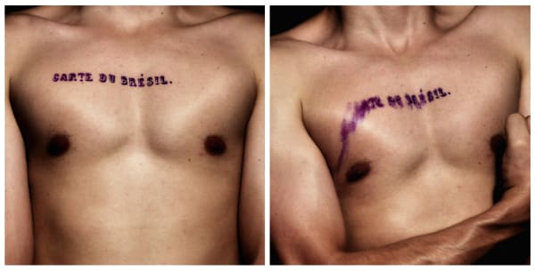 Paul Setúbal, Mapa (Carte du Brésil), 2012