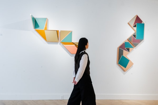 Ernesto García Sánchez and Roger Toledo: Incomplete Trajectories March 27–May 11, 2025 Thomas Nickles Project Installation view