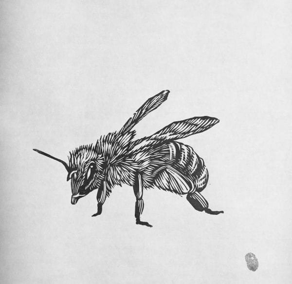 Osmeivy Ortega, Bee No. 3, 2024