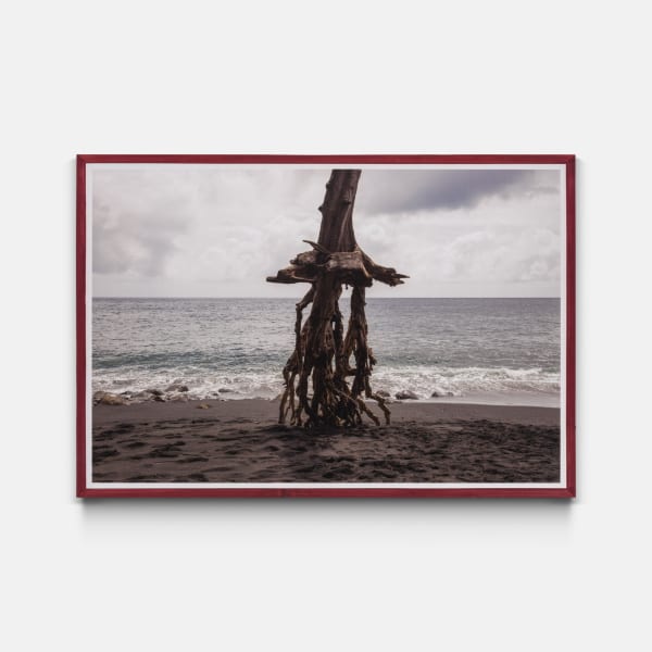 Adrien Missika - Silvain Overlooking the Sea