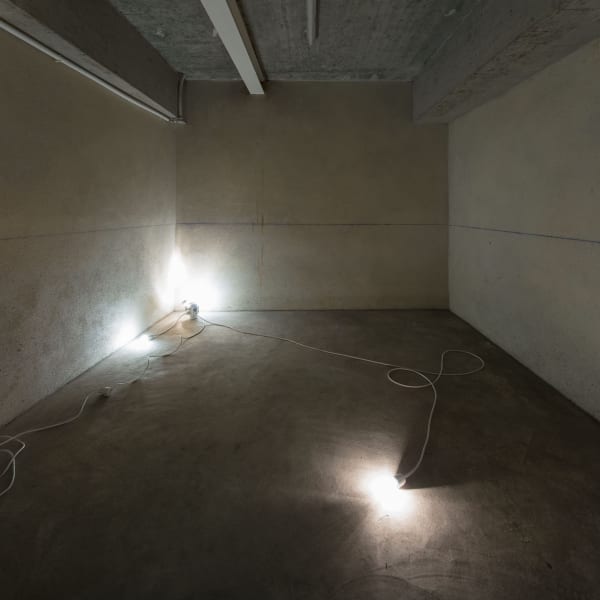 Galeria Francisco Fino - Follow You