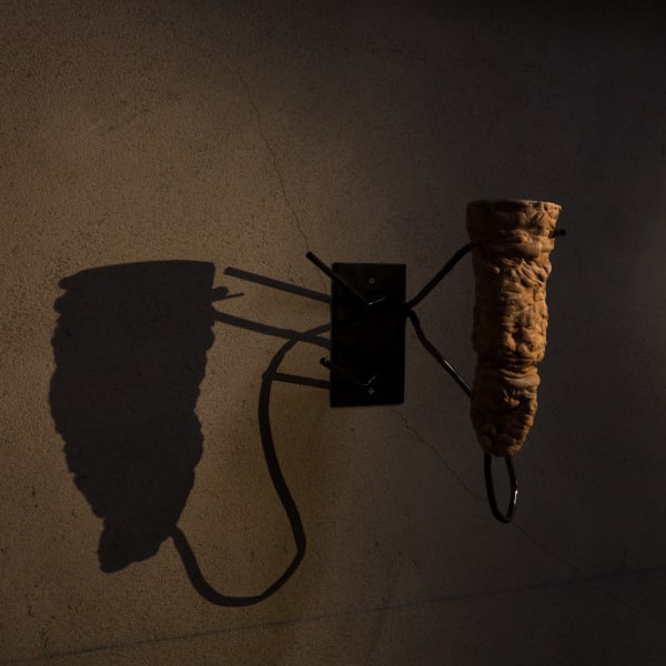 Galeria Francisco Fino - Gastrula Stage