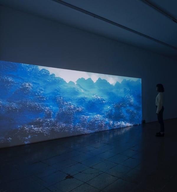 A–i–V–E–R–S–E