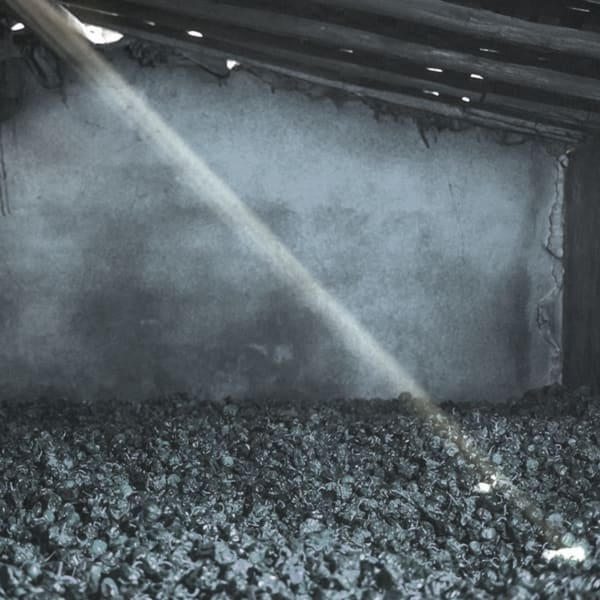 Cáceres Contemporánea