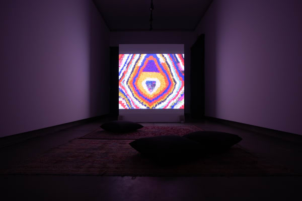Galeria Francisco Fino - O horizonte é o meio, Diogo Evangelista