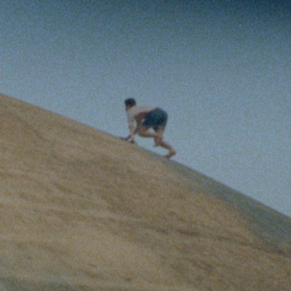 Galeria Francisco Fino - Concretos, Adrien Missika