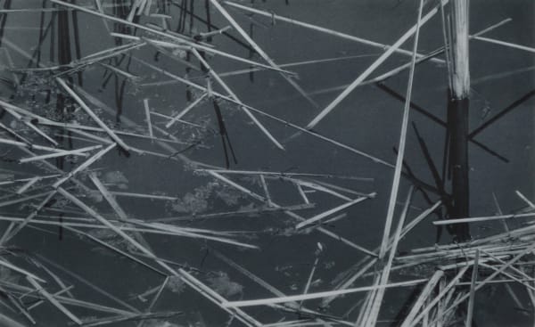 Exposição FPM #6 | contraste: 1949 – 2024 fotografia na coleção da Fundação PLMJ