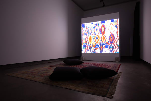 Galeria Francisco Fino - O horizonte é o meio, Diogo Evangelista