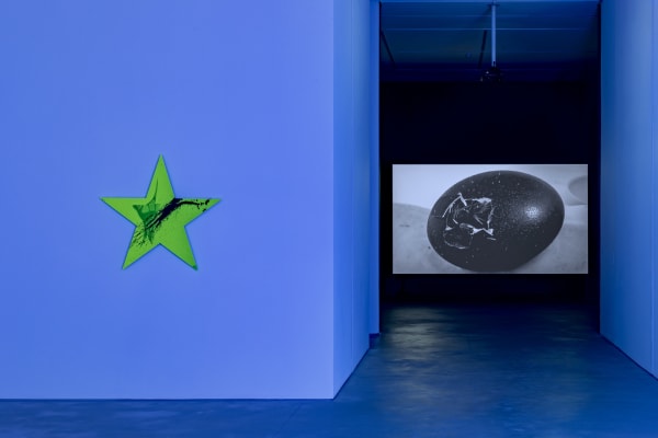 Galeria Francisco Fino - Magnetic Fields