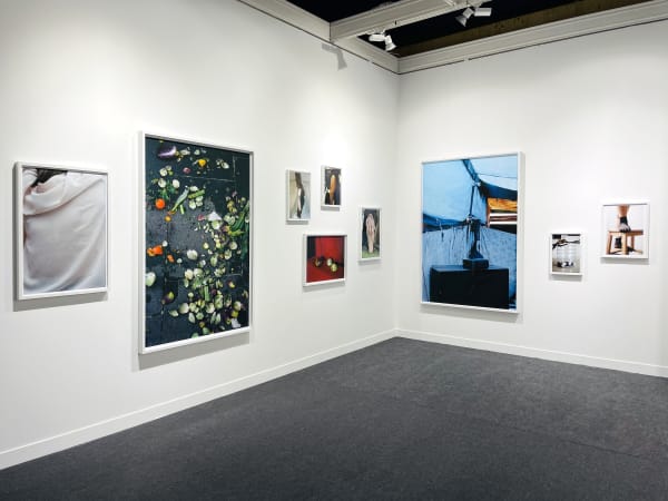 Galeria Francisco Fino - Paris Photo, José Pedro Cortes
