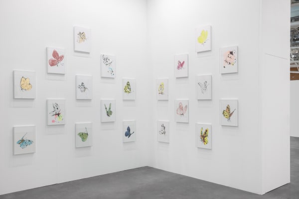 Diogo Evangelista Butterfly, 2024