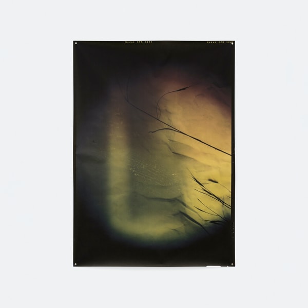TRIS VONNA-MICHELL detritus (composition II), 2023 Photographic inkjet print, on Awagami Kozo Thin Natural paper, magnet display 156 x 112 cm Ed. 1 + 1 AP